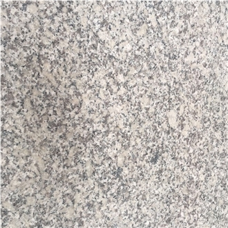 New G602 Grey White Granite Slab, Tiles