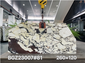 Calacatta Viola Slabs