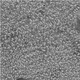 Pietra Gray Marble Bushhammerd Tiles