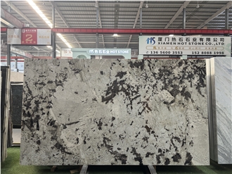 Splendor White Granite Slabs