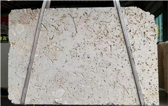 Coralina Gold Coral Stone Slabs Tiles
