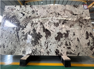 Patagonia Quartzite Slabs