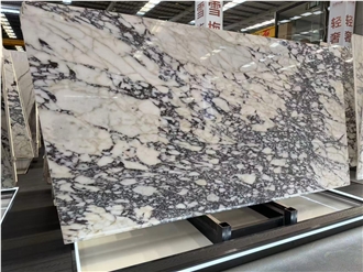 Premium Bulgari White Marble Slabs
