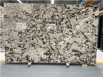 Snow Silver Fox Granite Slabs