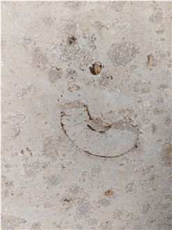 German Jura Beige Limestone Slabs