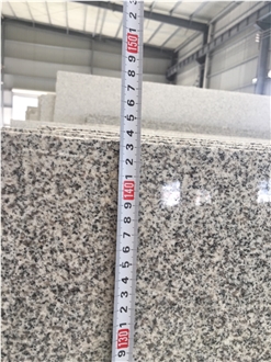 G603 Light Grey Polished Granite Big Slabs