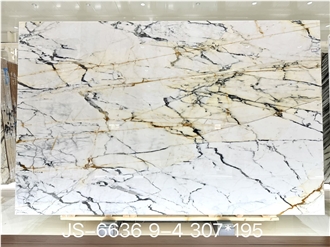 Calacatta Paonazzo Marble Slabs