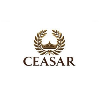 CEASAR INTERNATIONAL LTD logo