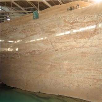 Sahara Gold Granite Big Slabs Supplier
