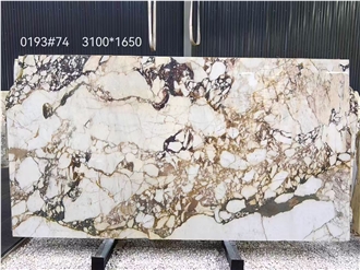 Calacatta Viola Marble Slabs Polished