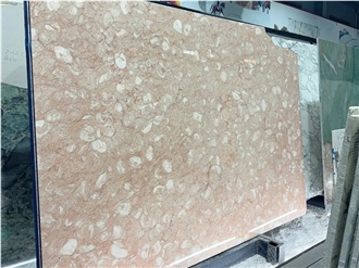 Pink Orient Fossil Limestone Slabs