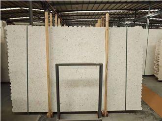 Coral Stone Slabs Premium Beige Limestone