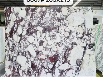 Polished Calacatta Viola Marble Slabs