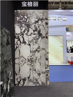 Calacatta Viola Marble Slab Tiles