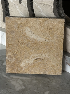 Coral Stone Honeycomb Backed Panels