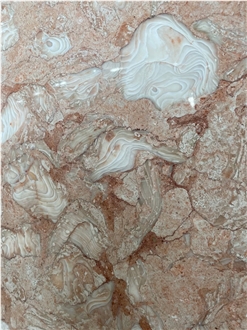 Shells Reef Pink Limestone Slab Wall Tiles