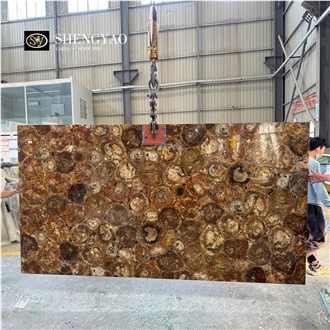Solid Brown Natural Petrified Wood Semiprecious Stone Slabs