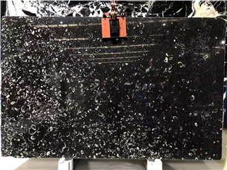 Natural Sea Shell Black Marble Slabs