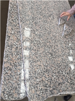 Pear Blossom Red Granite Slabs