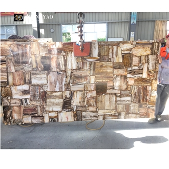 Brown Petrified Wood Fossil Gem Stone Slabs For Wall