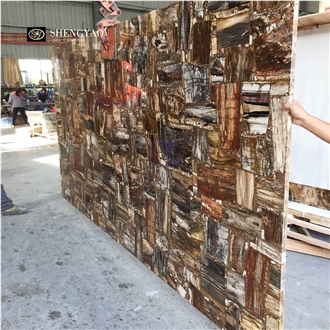 Brown Solid Natural Petrified Wood Semiprecious Slabs