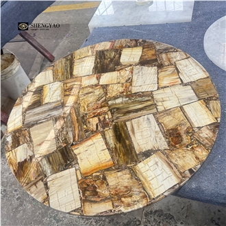Natural Gem Stone Petrified Wood Round Coffee Table Tops