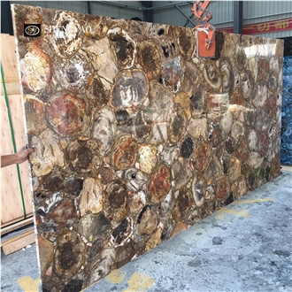 Round Polished Petrified Wood Slabs Gemstone Wall Panels