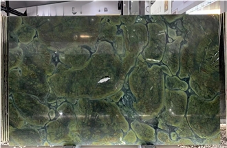 Polished Vitoria Regia Green Quartzite Slabs For Walls