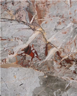 Sarrancolin Versailles Marble Slabs