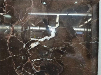 China Brown China Coffee Net Polished Marble Slabs