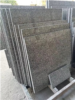 Durable Anti Slip Outdoor Paving G623 Granite Tiles