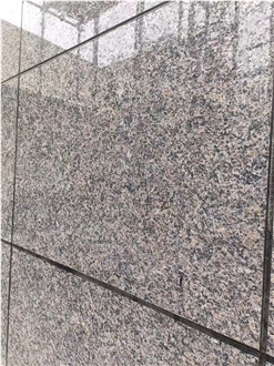 Royal Coffee Pearl Granite Slabs