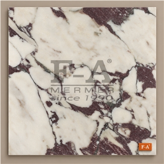 Calacatta Viola Marble Tiles, Turkey Calacatta Marble