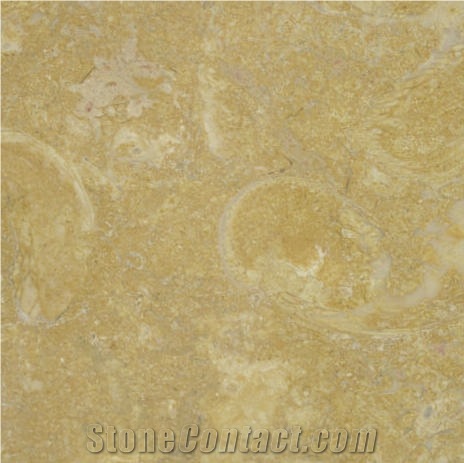 Amarelo Valverde Limestone