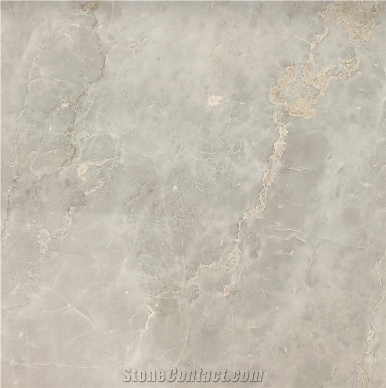 Bernini Gray Marble importance=