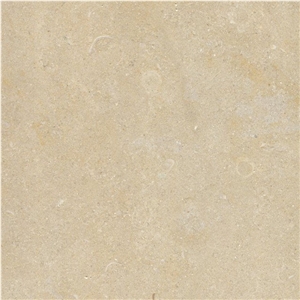 Halila Gold Limestone
