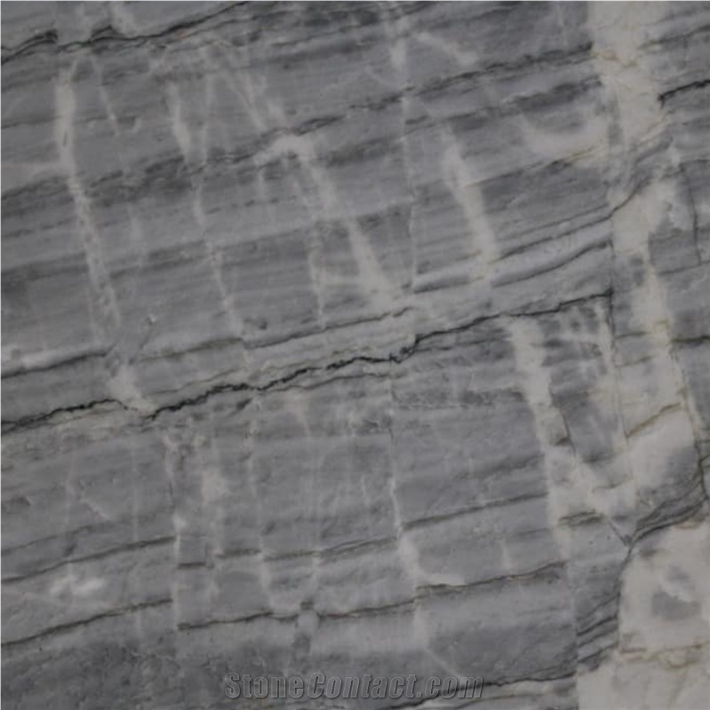 Silver Line Quartzite importance=