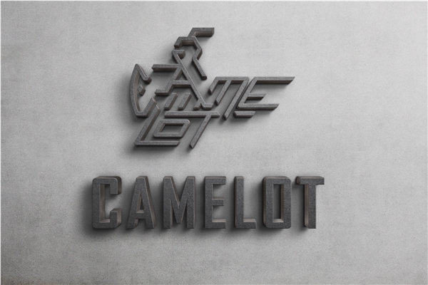 Camelot LLC