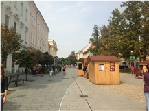 Main Street Construction 2014