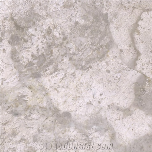 Silver Champagne Marble 