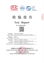 Test Report Test Report