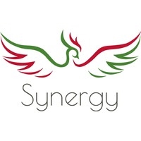 Synergy Tradeco NV