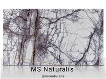 MS Naturalis